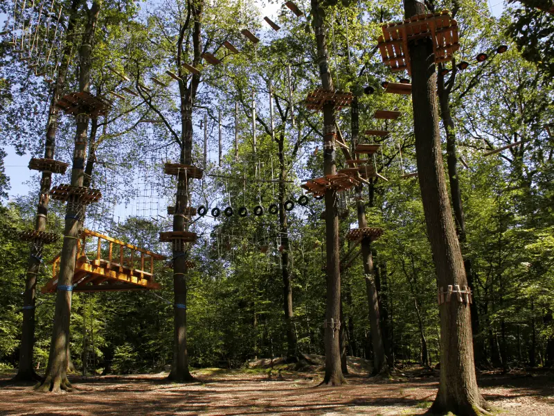 Kletterwald als Action JGA-Ideen für Frauen