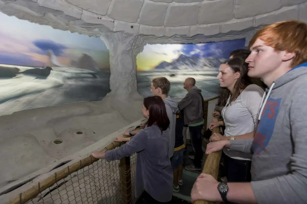 ZOOM Erlebniswelt Alaska Ice Adventure