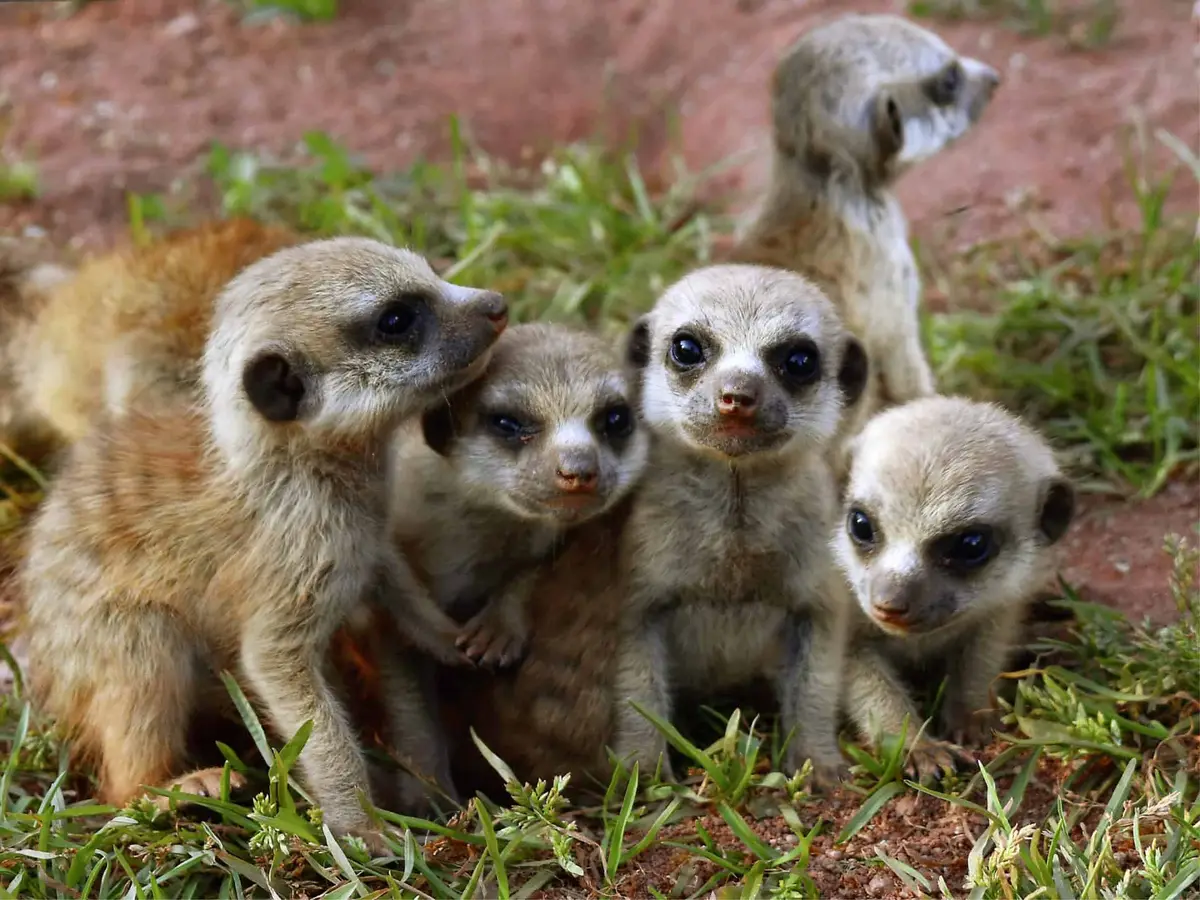 Thüringer Zoopark Erfurt