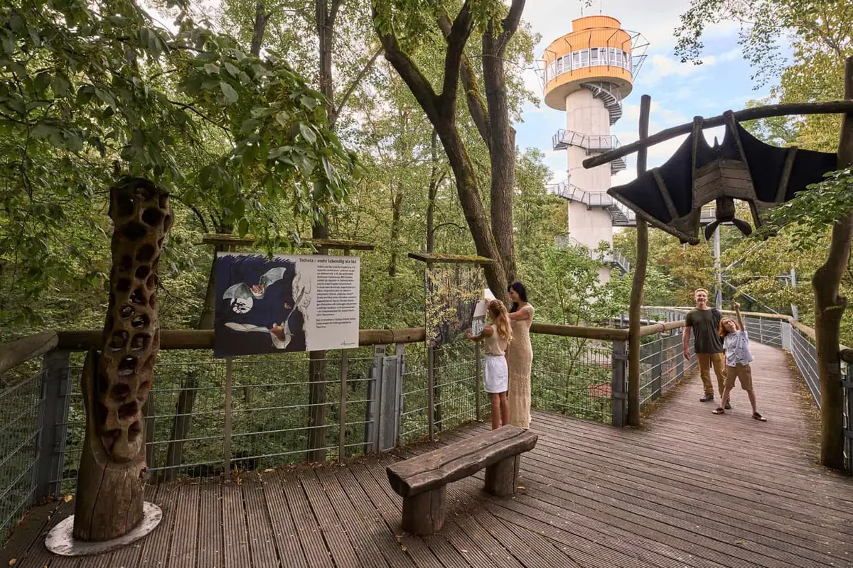 Baumkronenpfad im Nationalpark Hainich