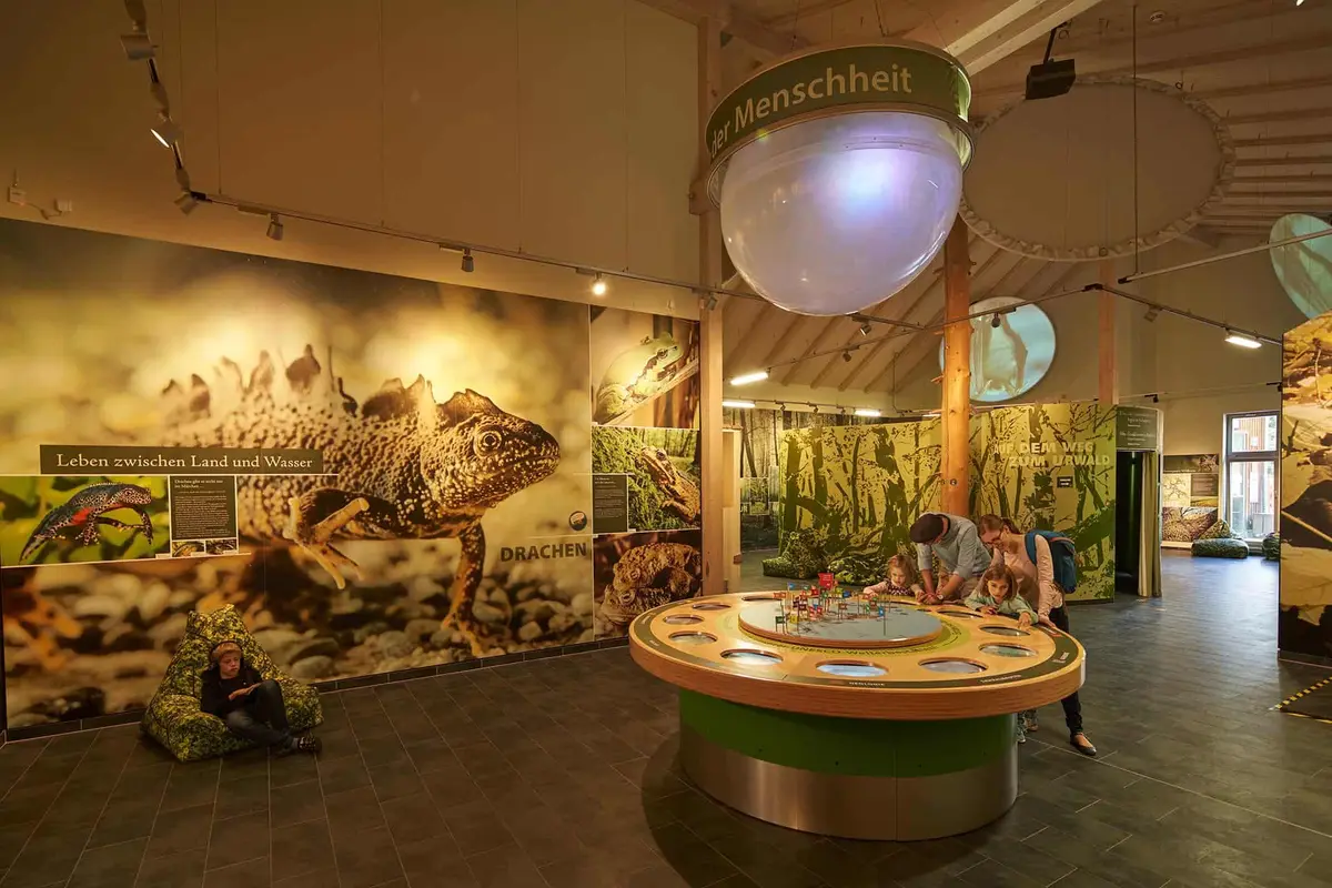 Baumkronenpfad im Nationalpark Hainich