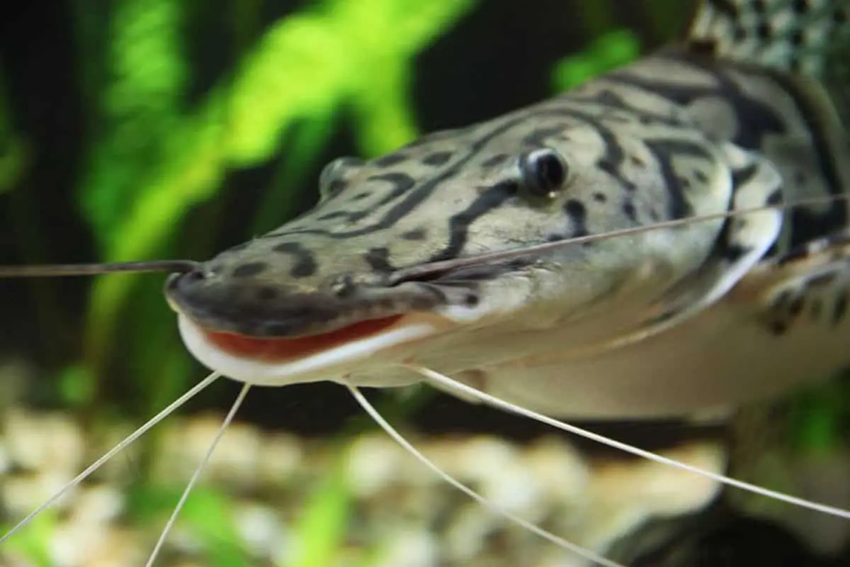 Erlebnispark Meeresaquarium Zella-Mehlis