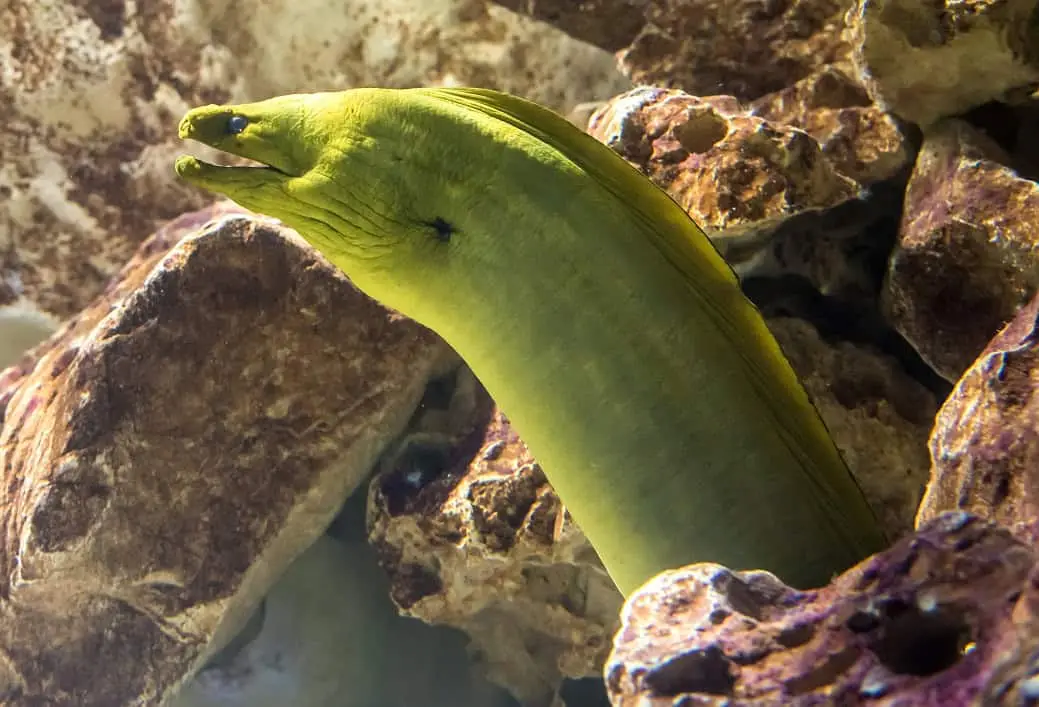 Erlebnispark Meeresaquarium Zella-Mehlis