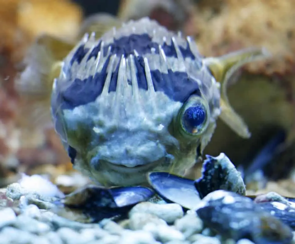 Erlebnispark Meeresaquarium Zella-Mehlis