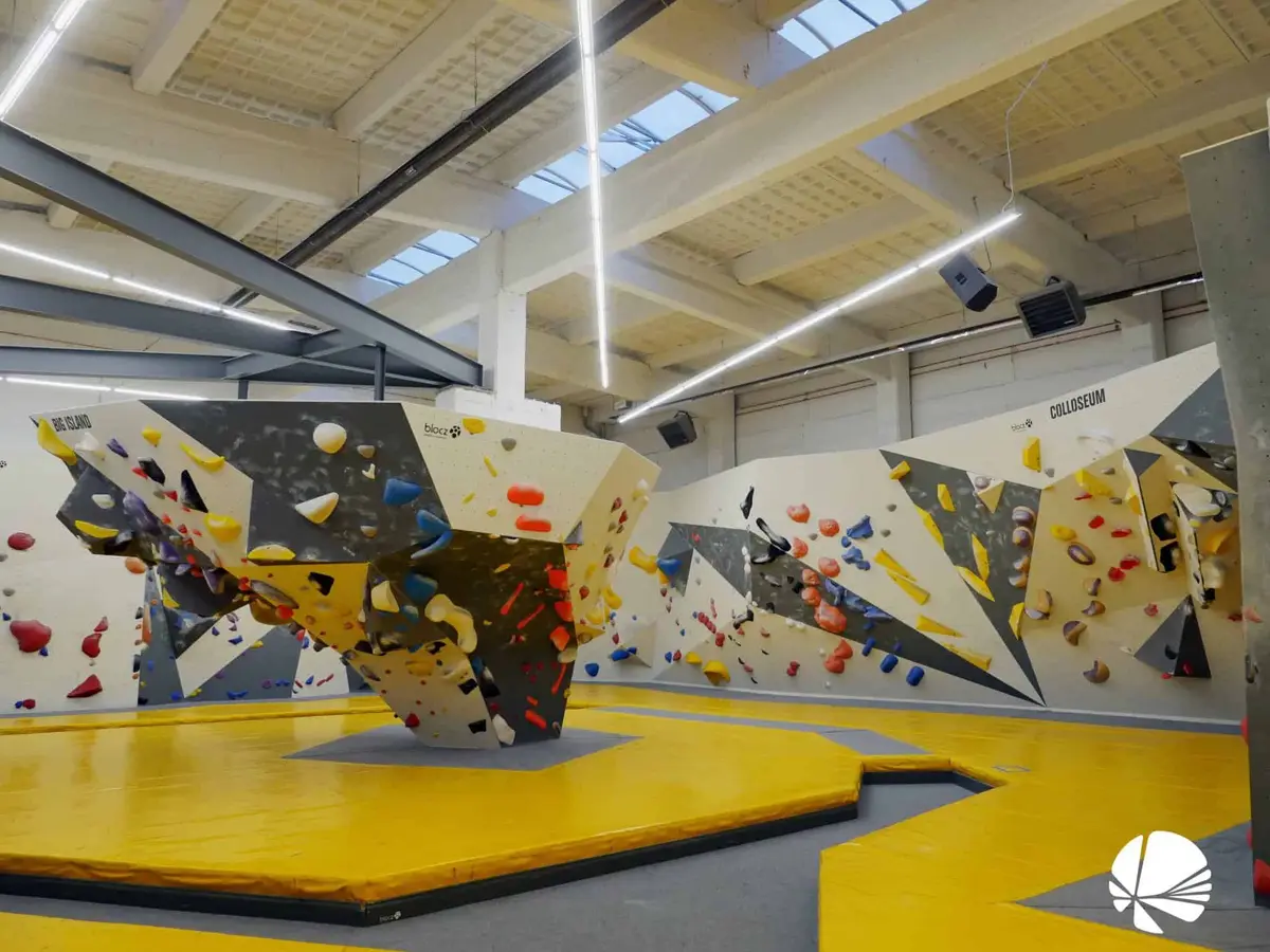 Mandala Boulderhalle Dresden