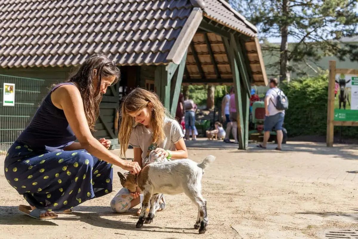 Der Center Parcs Bispinger Heide, Ferienpark in Niedersachsen
