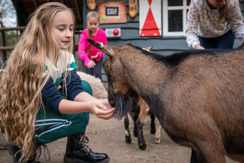 Landal Het Vennenbos, Ferienpark Niederlande