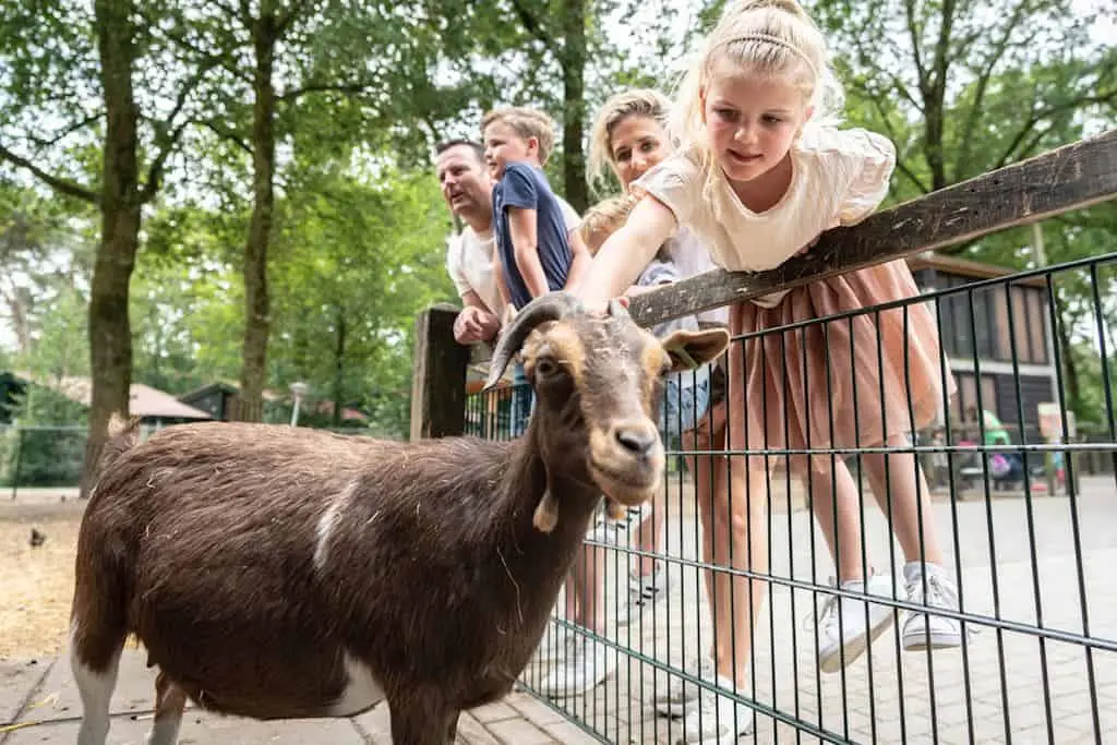 Landal De Lommerbergen, Ferienpark Niederlande
