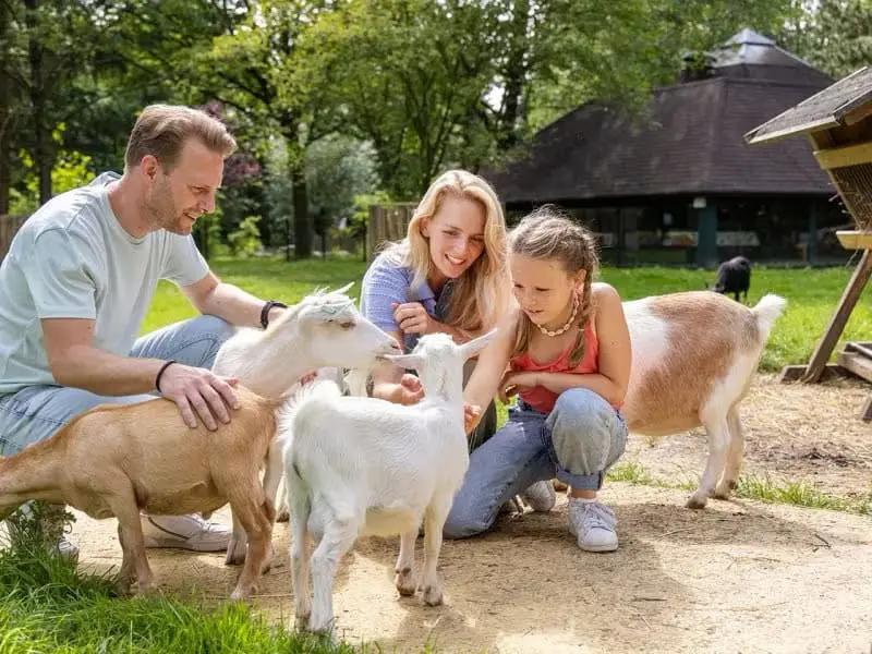 Center Parcs Het Heijderbos, Ferienpark Niederlande