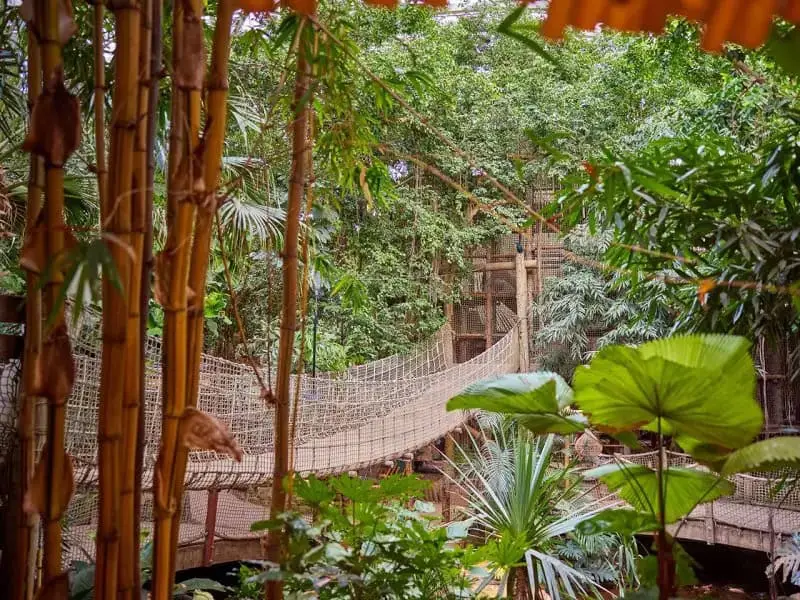 Center Parcs Het Heijderbos, Ferienpark Niederlande