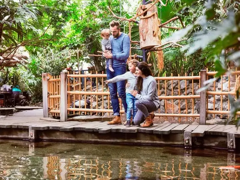 Center Parcs De Kempervennen, Ferienpark Niederlande