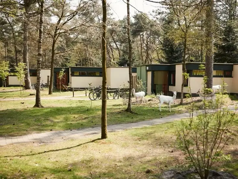 Center Parcs Het Meerdal, Ferienpark Niederlande