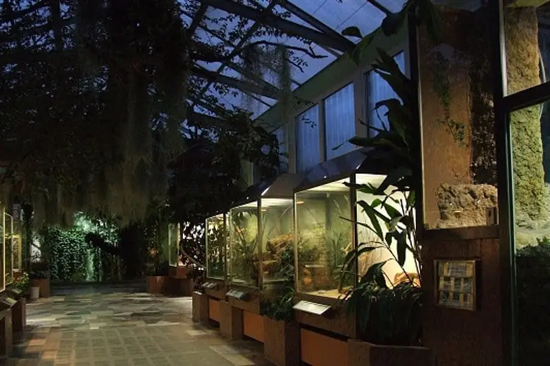 Das Exotarium im Zoo Frankfurt, Indooraktivität Frankfurt