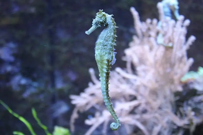 Das Exotarium im Zoo Frankfurt, Indooraktivität Frankfurt