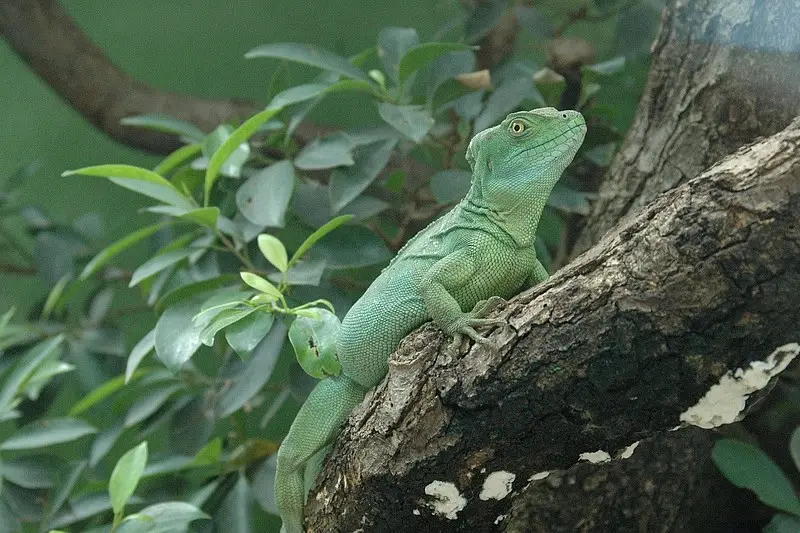 Das Exotarium im Zoo Frankfurt, Indooraktivität Frankfurt
