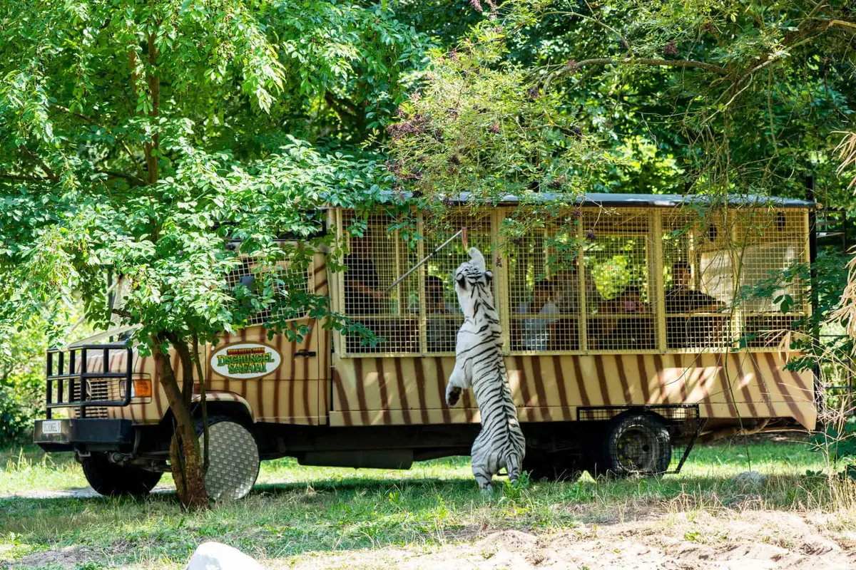 Serengeti Park Geführte Tour durch die Serengeti-Safari