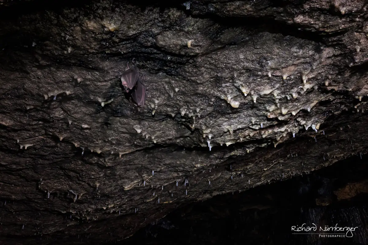 Die Sturmannshöhle, Schauhöhle in Bayern
