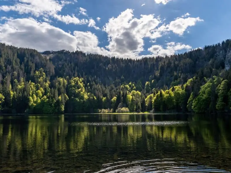 Der Feldsee, natürliche Sehenswürdigkeit Baden-Württemberg