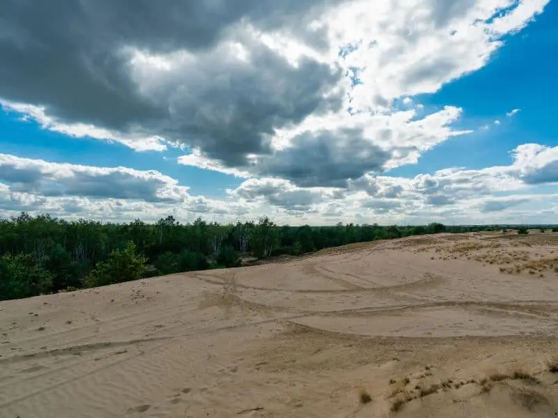 Die Wanderdüne bei Jüterbog, Natur Sehenswürdigkeit Brandenburg