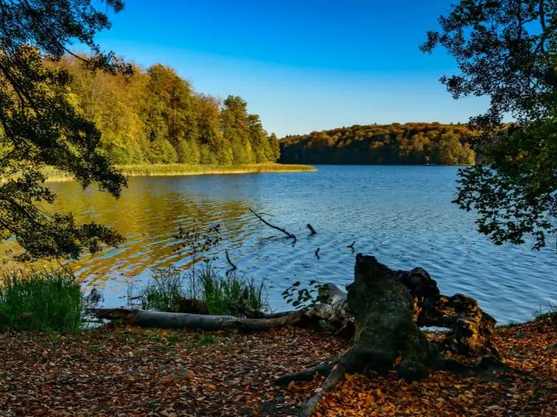 Der Liepnitzsee, Natur Sehenswürdigkeit Brandenburg
