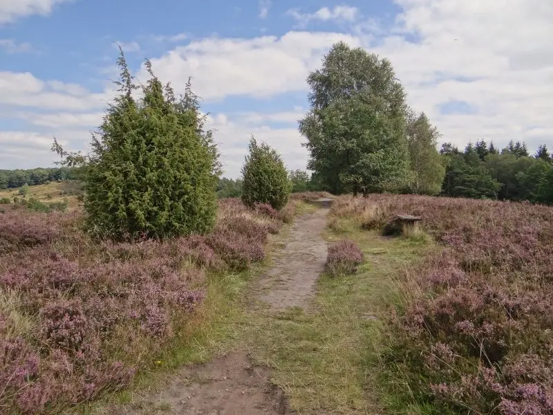 Die Döberitzer Heide, Natur Sehenswürdigkeit Brandenburg