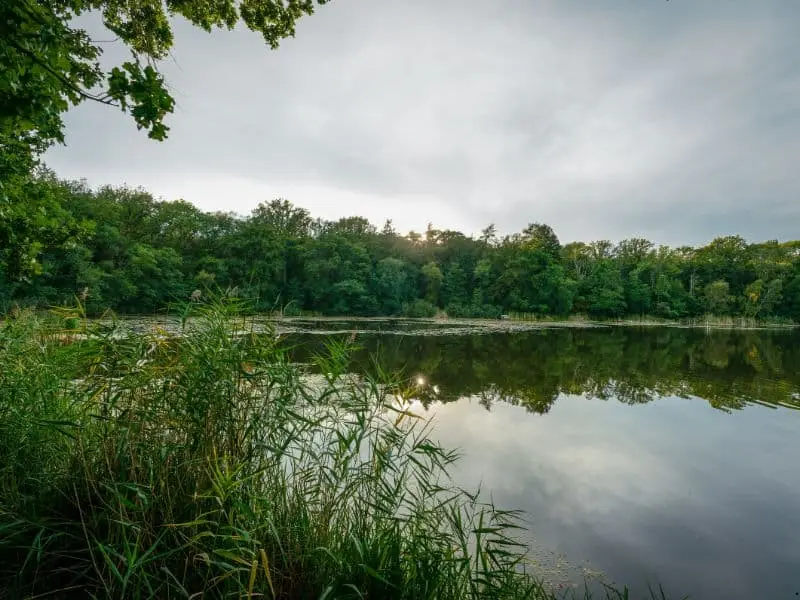 Der Naturpark Westhavelland, , Natur Sehenswürdigkeit Brandenburg