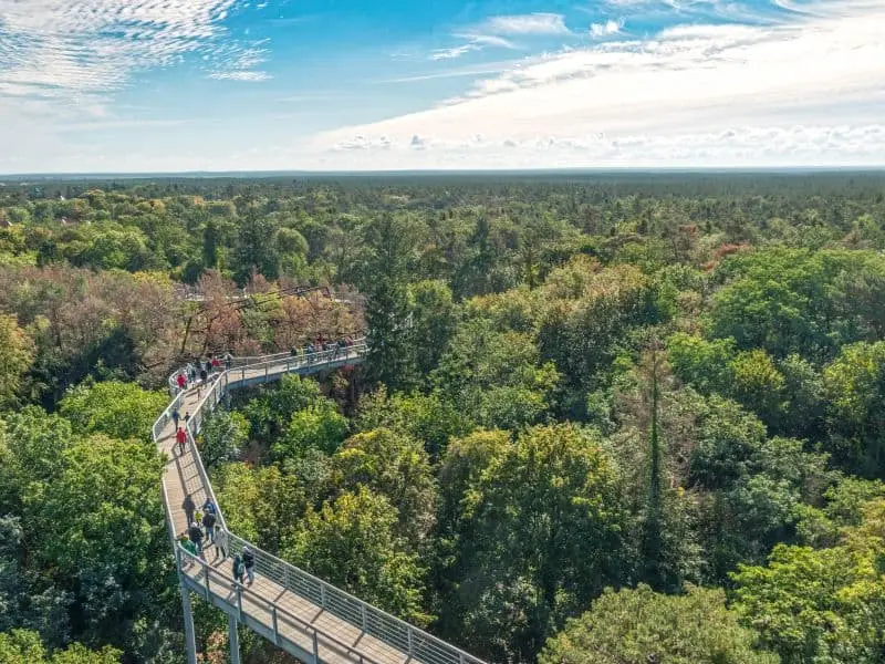Der Baumkronenpfad Beelitz, Natur Sehenswürdigkeit Brandenburg