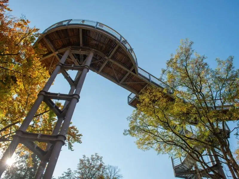 Der Baumkronenpfad Beelitz, Natur Sehenswürdigkeit Brandenburg