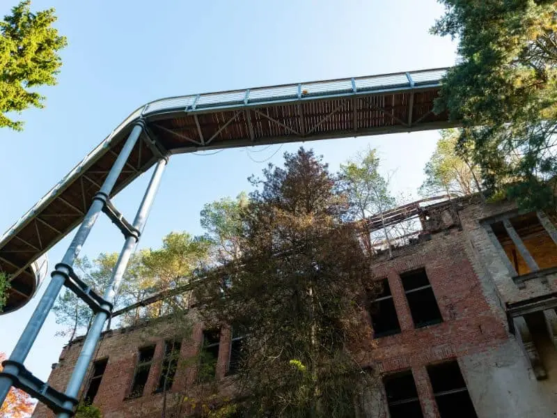 Der Baumkronenpfad Beelitz, Natur Sehenswürdigkeit Brandenburg