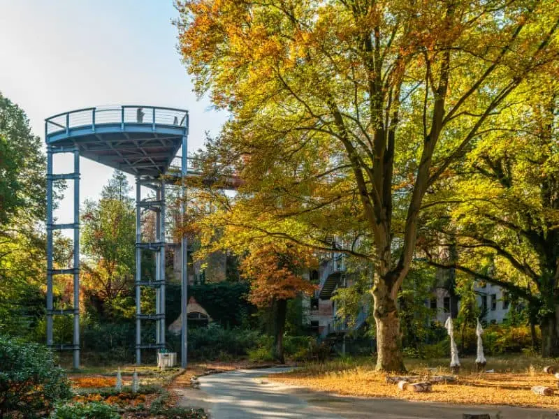 Der Baumkronenpfad Beelitz, Natur Sehenswürdigkeit Brandenburg