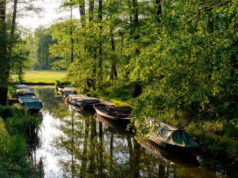 Der Spreewald, Natur Sehenswürdigkeit Brandenburg