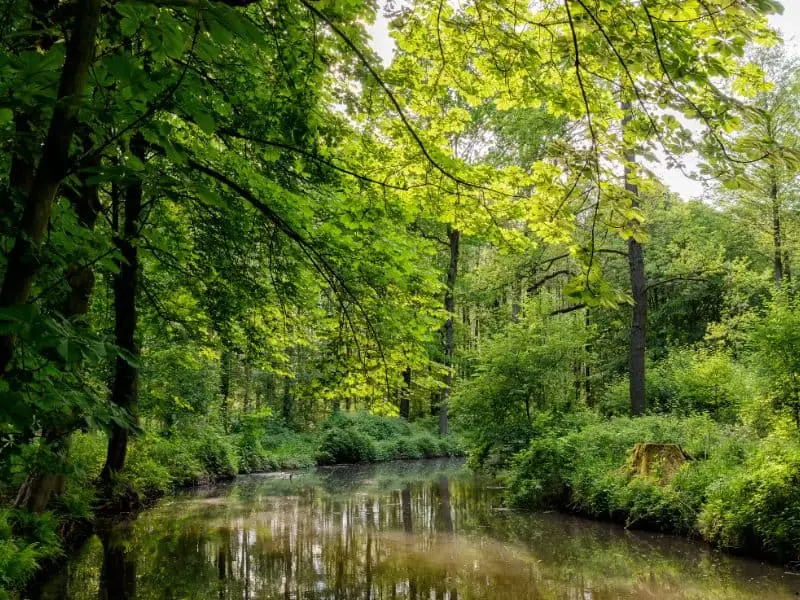 Der Spreewald, Natur Sehenswürdigkeit Brandenburg