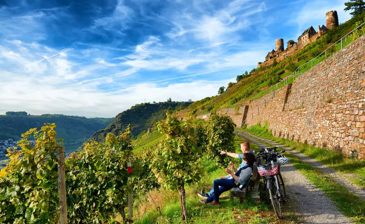 Der Mosel-Radweg