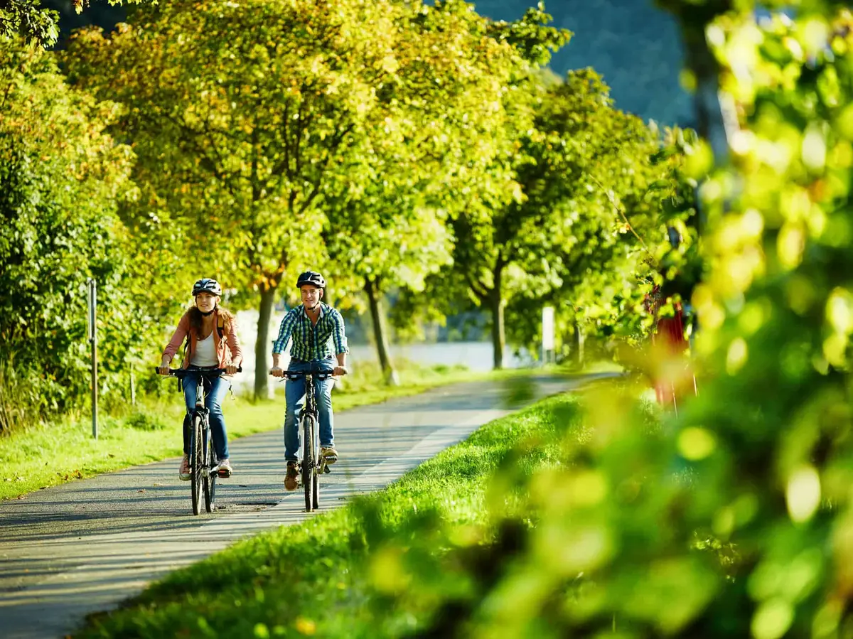 Der Mosel-Radweg