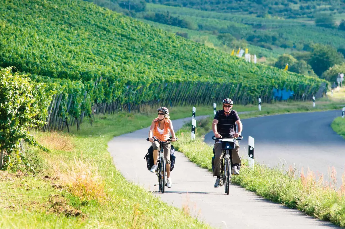 Der Main-Radweg