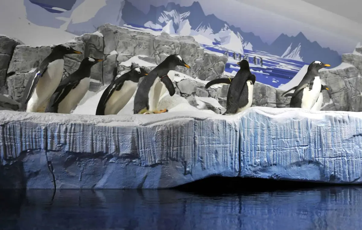 Das SEA LIFE Konstanz