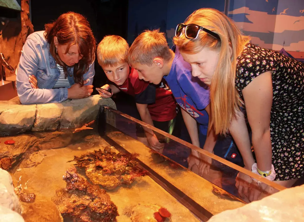Das SEA LIFE Konstanz