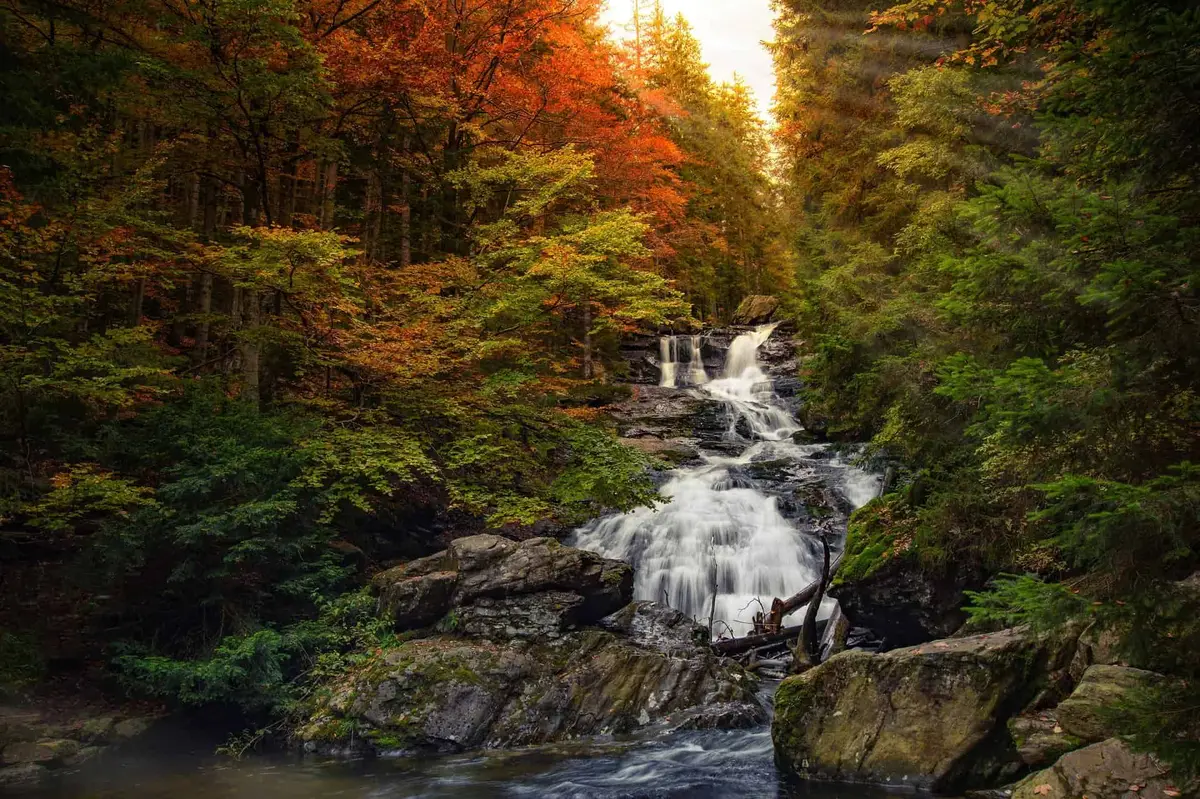 Die Rißlochschlucht