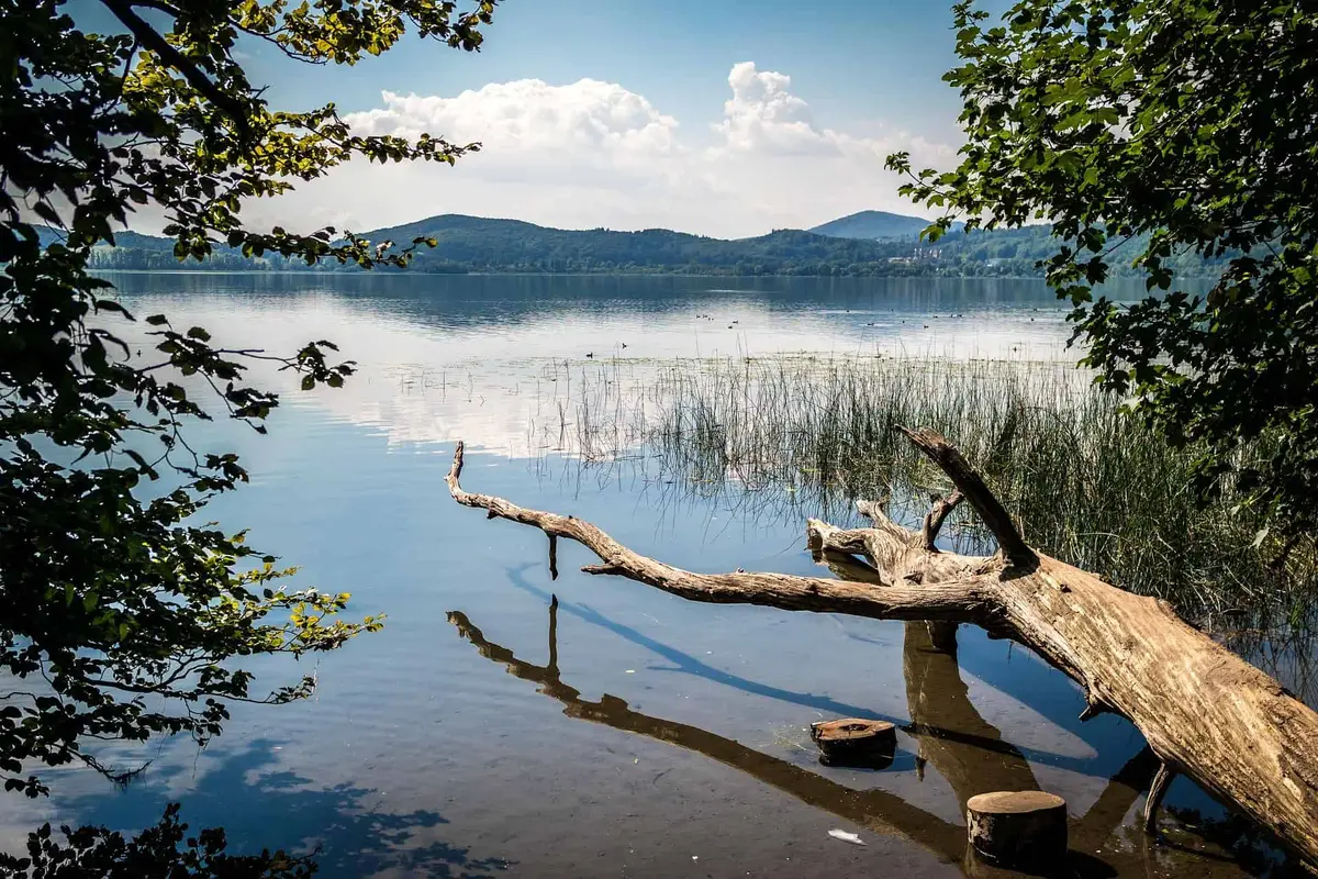 Vulkanpark Laacher See