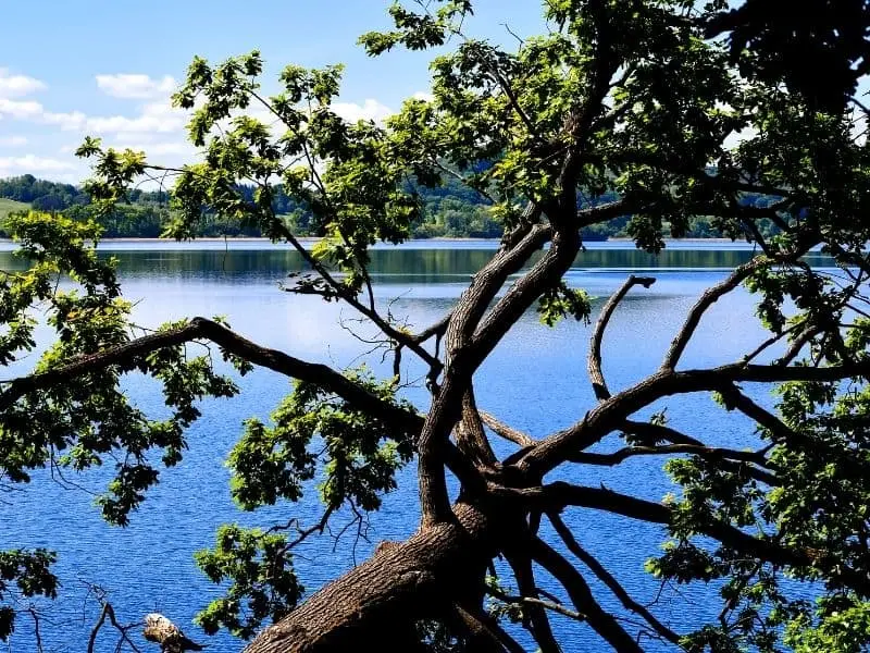 Der Laacher See in Rheinland-Pfalz