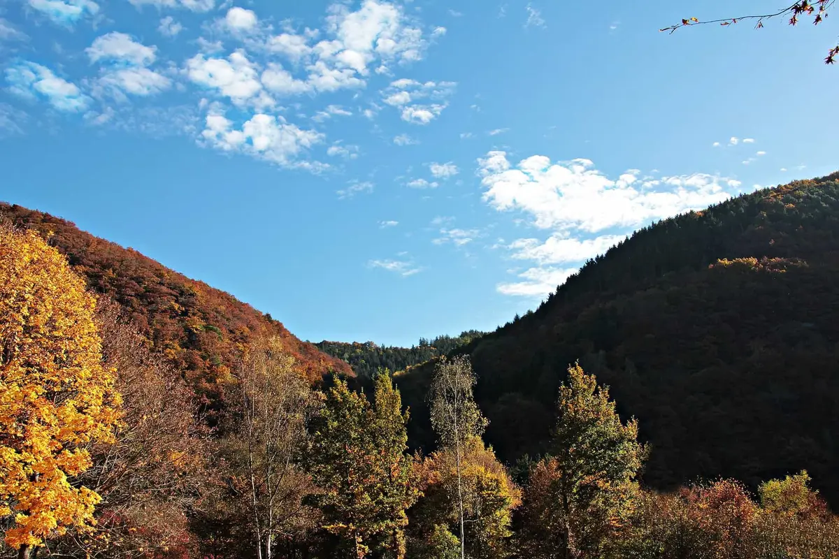 Nationalpark Eifel
