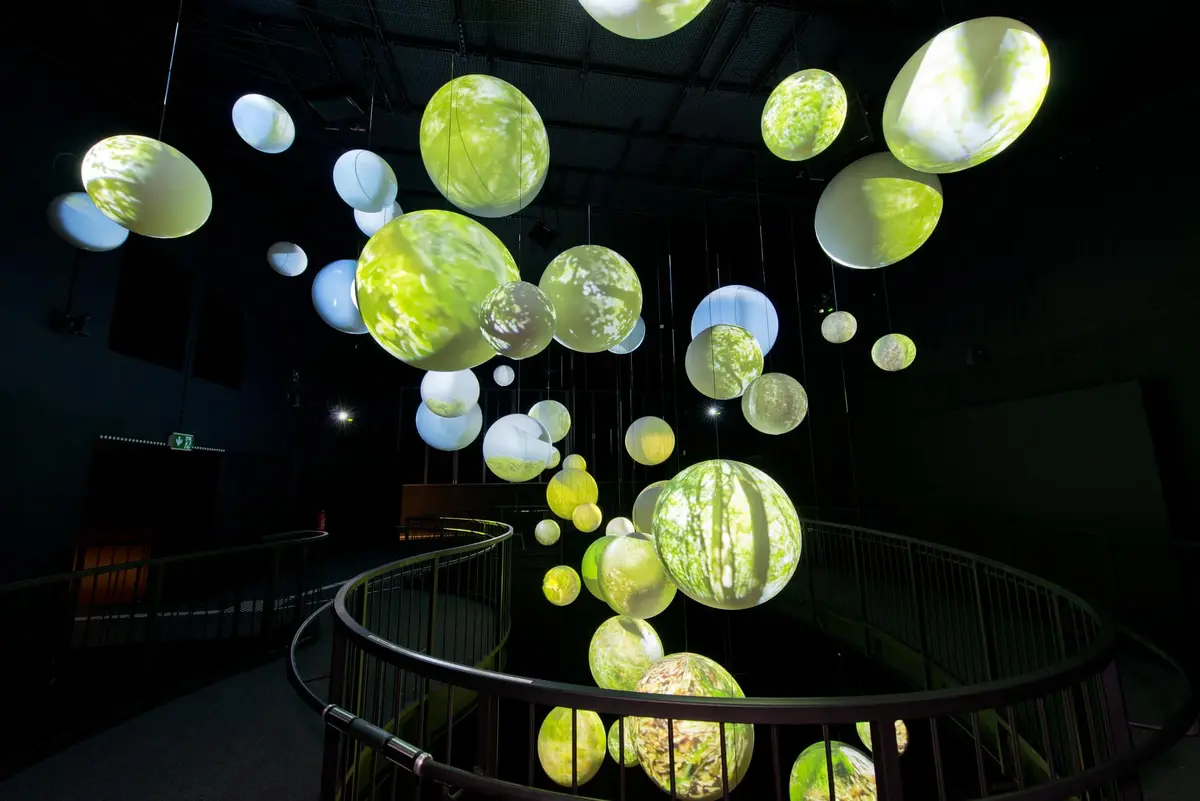 Das Nationalpark-Zentrum Eifel - Erlebnisausstellung Wildnis(t)räume