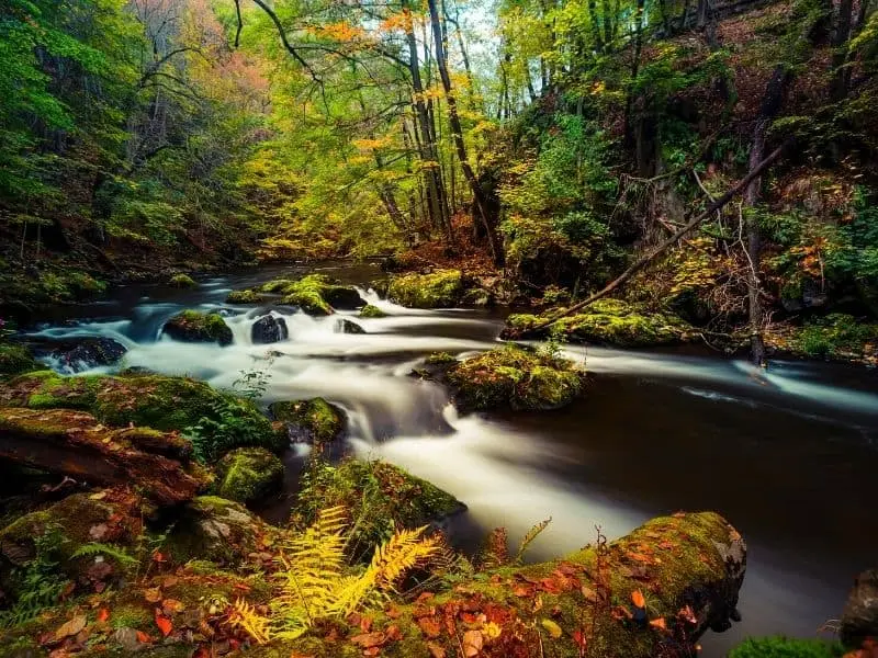Das Bodetal
