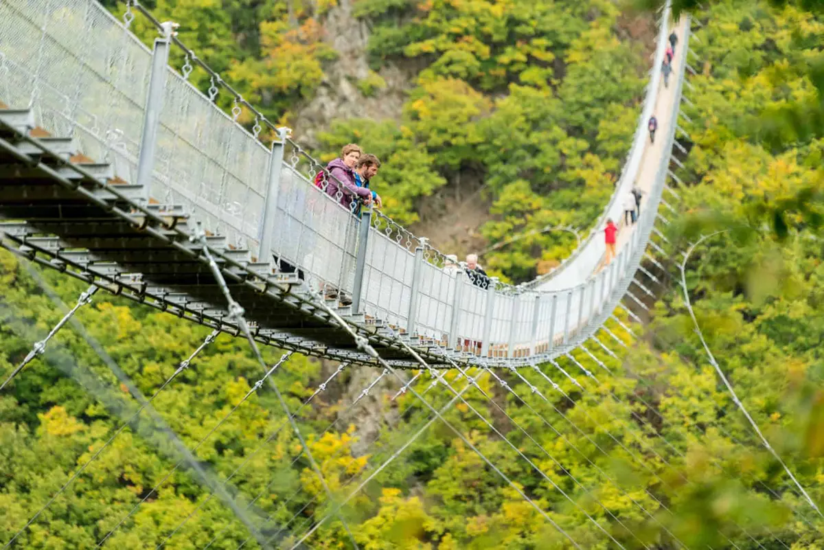Geierlay Hängebrücke