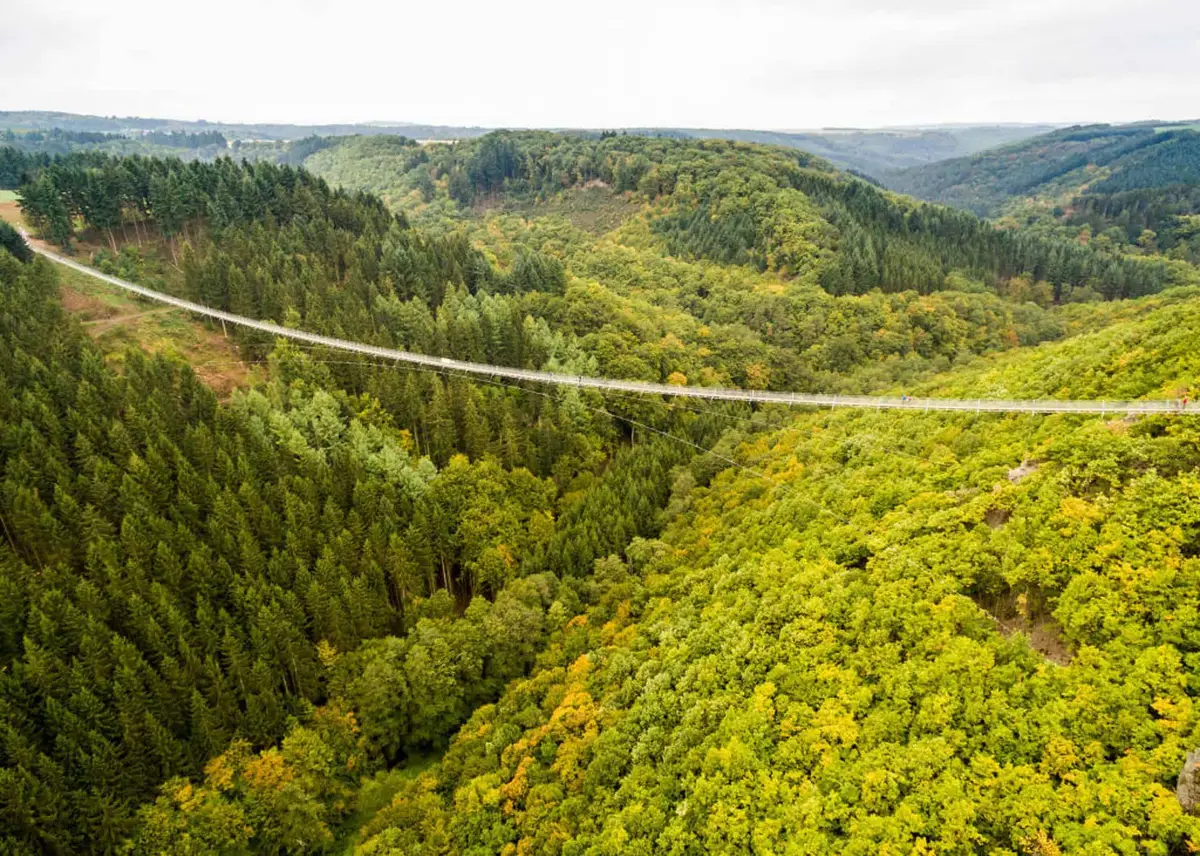 Geierlay Hängebrücke