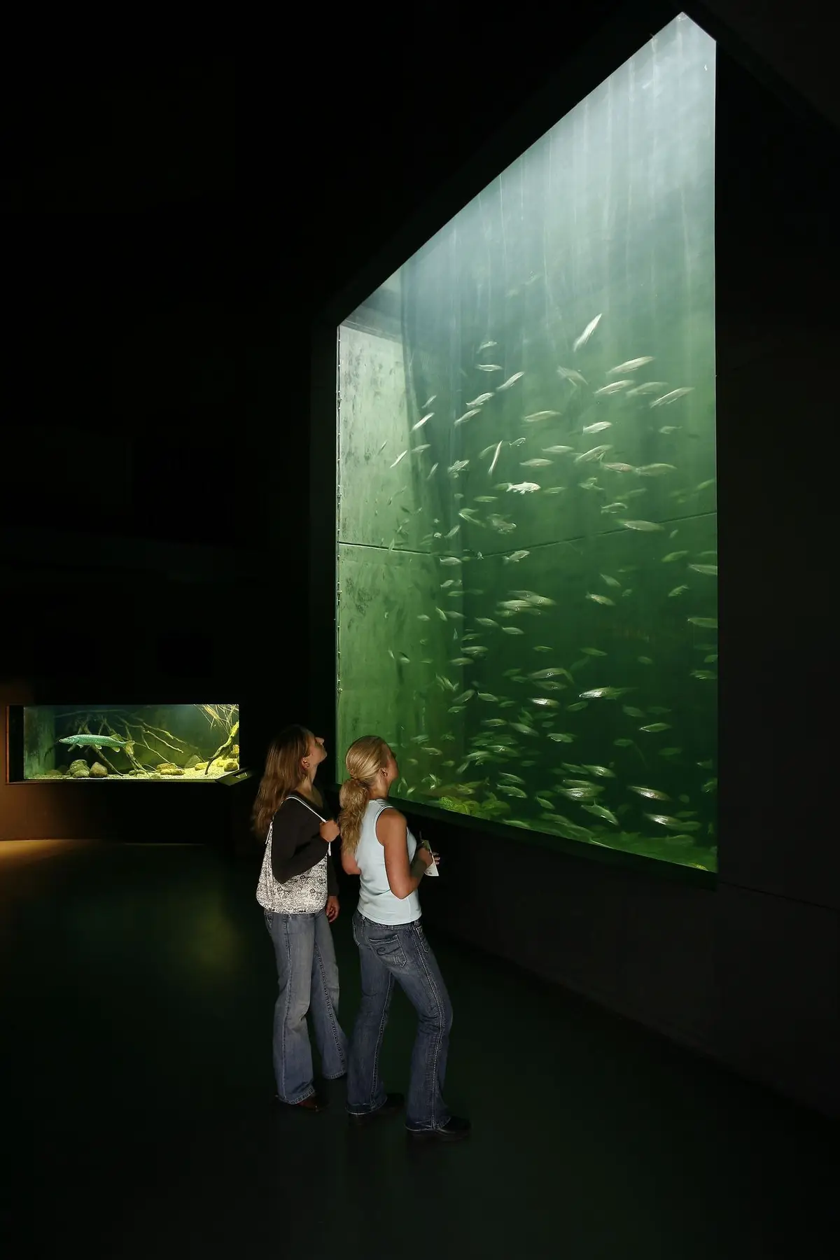 Das NaturErlebnisZentrum Müritzeum