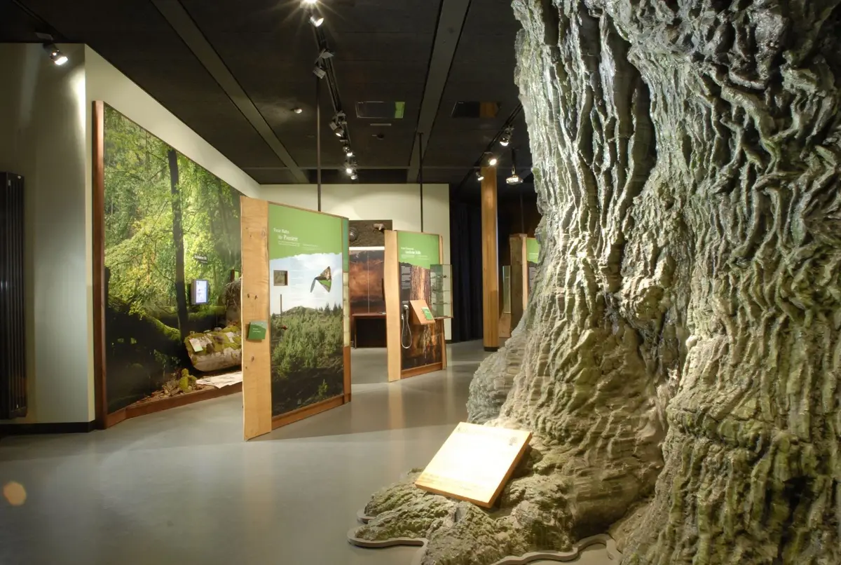 Das NaturErlebnisZentrum Müritzeum