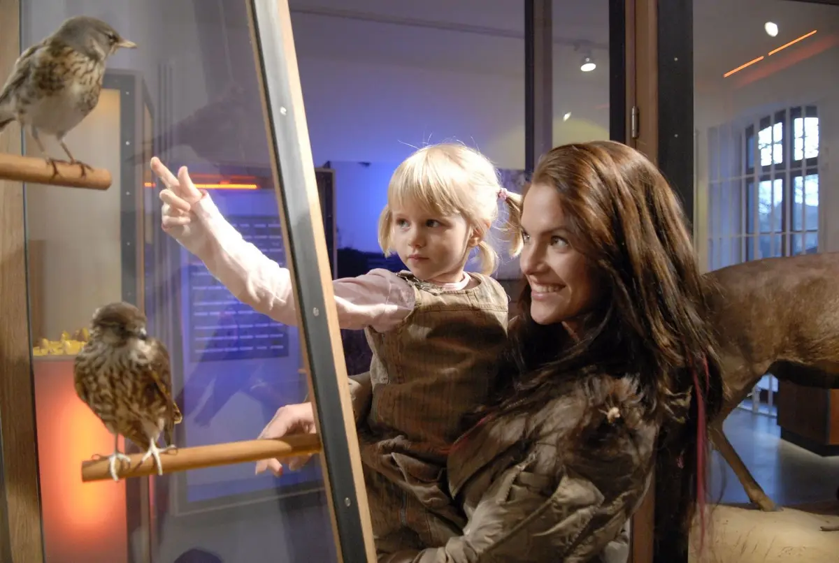 Das NaturErlebnisZentrum Müritzeum