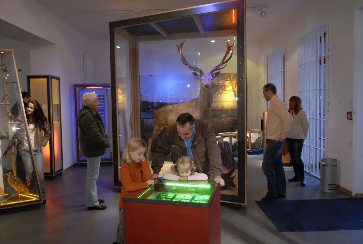 Das NaturErlebnisZentrum Müritzeum