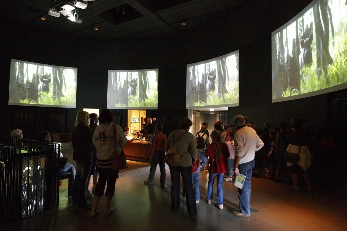 Das NaturErlebnisZentrum Müritzeum